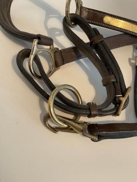 Licol en cuir Éric Thomas + longes d’attache