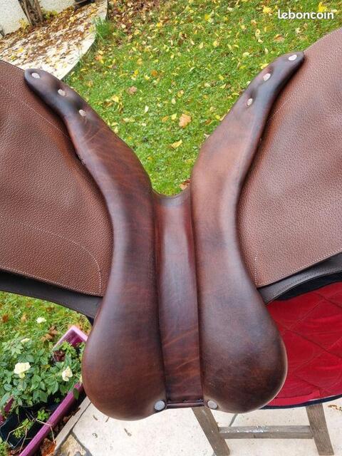 Selle mixte 17"5 Privilège Équitation