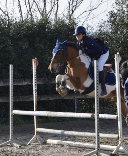 veste de concours lamicell bleu