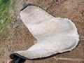 selle Barefoot cheyenne - monoquartier - cuir