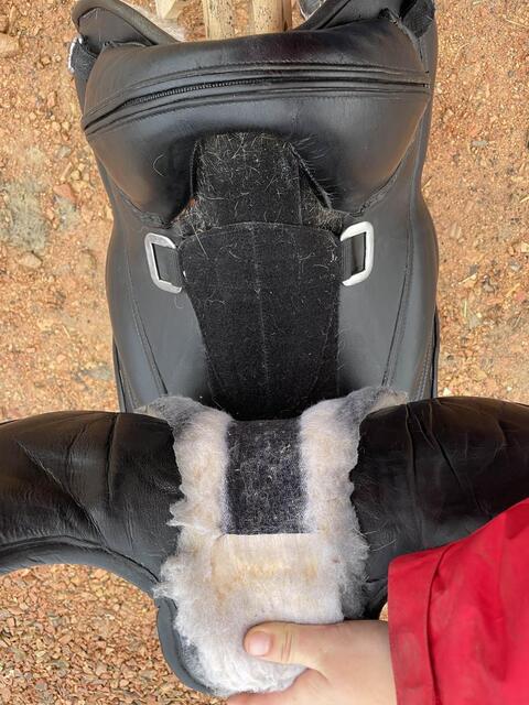 selle Barefoot cheyenne - monoquartier - cuir