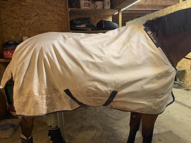couverture Bucas Power turnout light 155 6,9