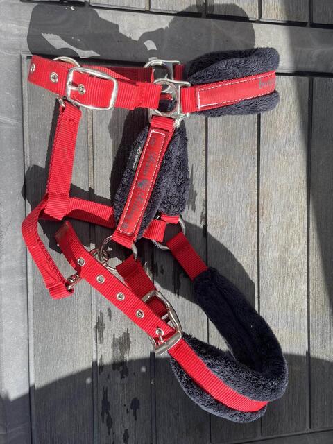 Licol rouge