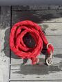 Licol rouge