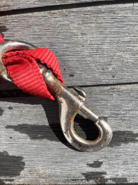 Licol rouge