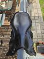 Selle obstacle Prestige X-Meredith noire 17"