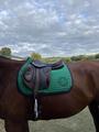 Selle Devoucoux