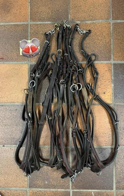 lot de 4 colliers de chasse dy’on