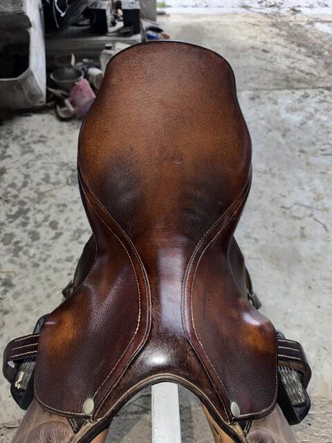 selle forestier mixte 17,5