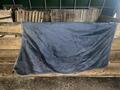 Doublure / Liner Horseware 100g 115cm