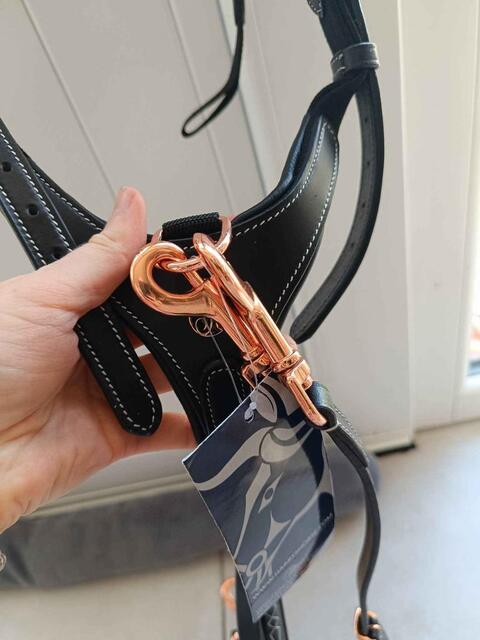 collier de chasse