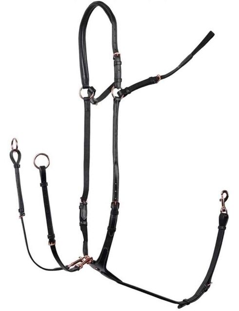 collier de chasse