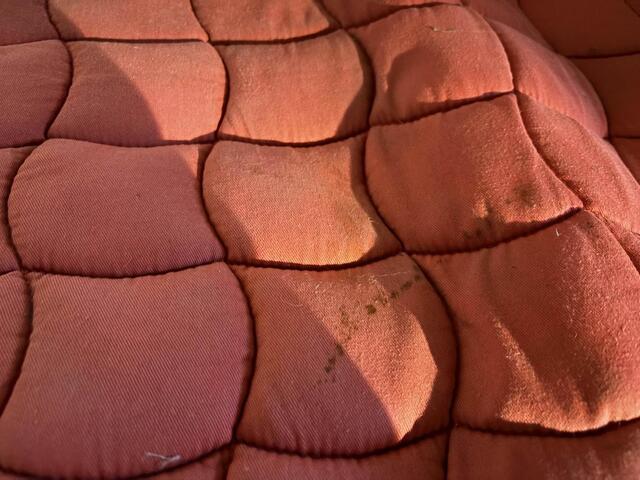 tapis Lami Cell rouge