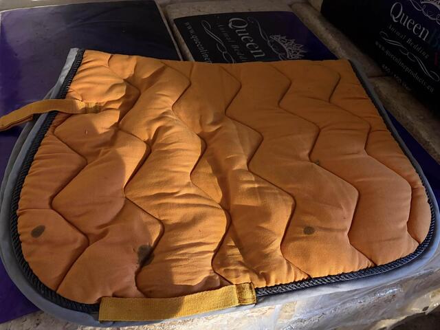 tapis equitheme orange
