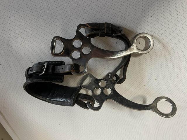 Hackamore horze