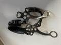 Hackamore horze