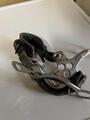 Hackamore horze