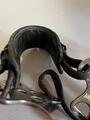 Hackamore horze