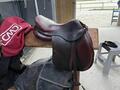 selle cwd