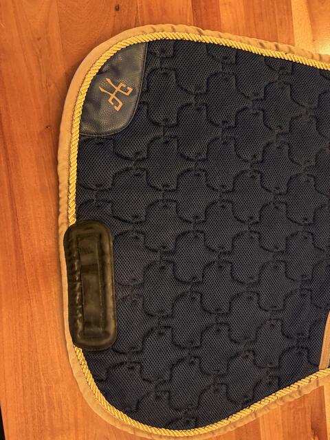 Tapis horse pilot