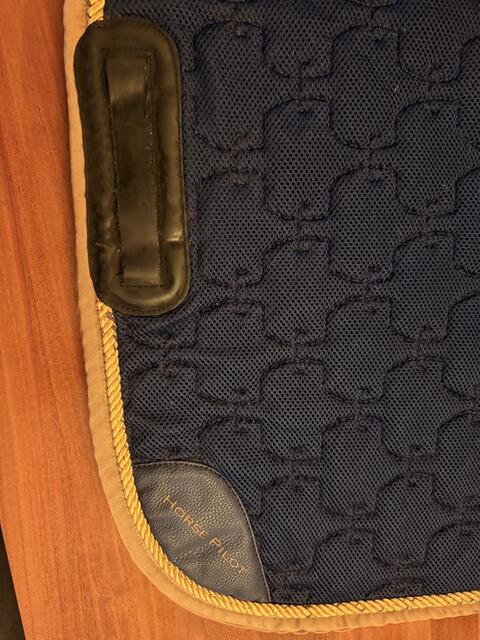 Tapis horse pilot