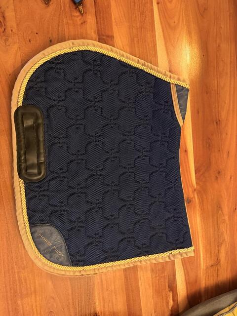 Tapis horse pilot