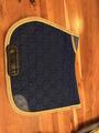 Tapis horse pilot