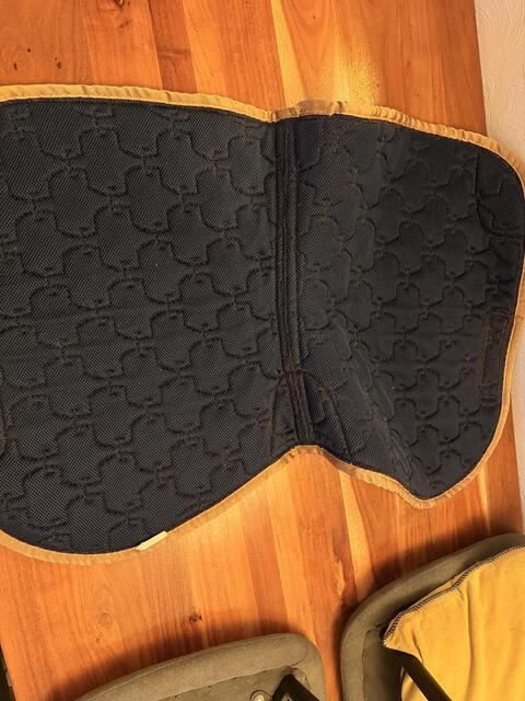 Tapis horse pilot