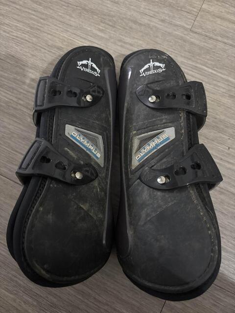 veredus olympus vento noir