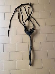 Collier de chasse noir
