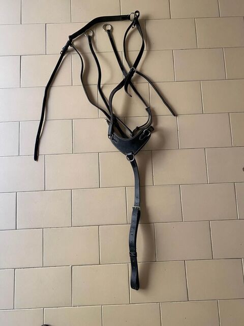 Collier de chasse noir