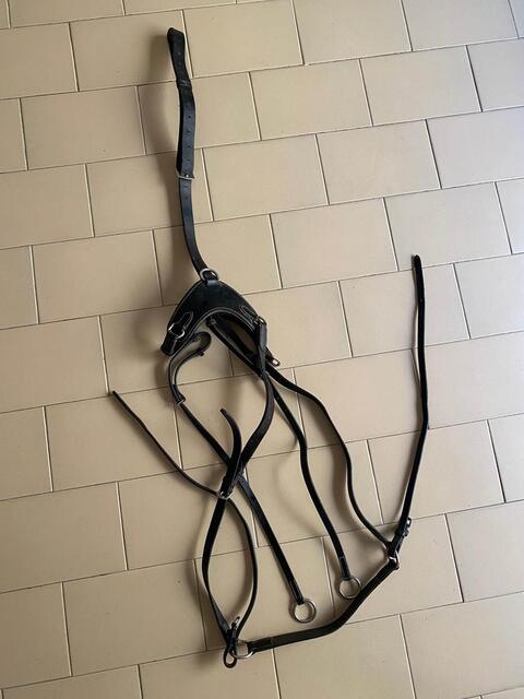 Collier de chasse noir