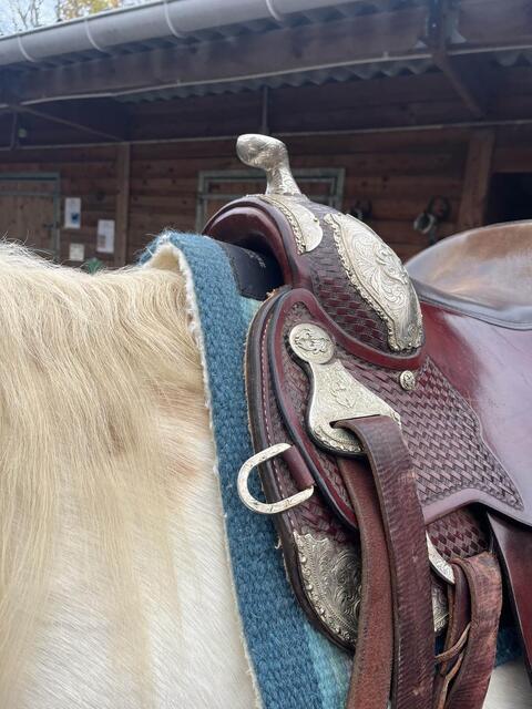 selle western