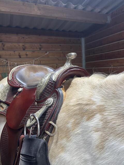 selle western
