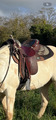 selle western
