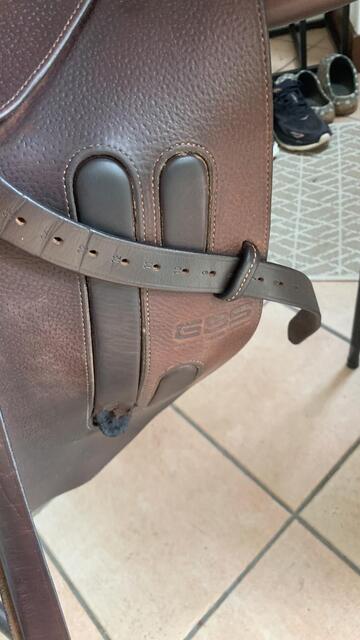 Selle GBS