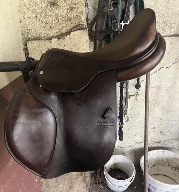 selle gbs