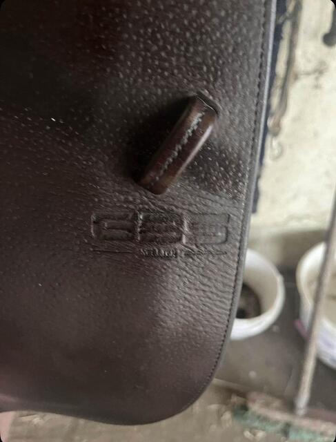 selle gbs