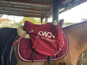 Selle CWD cuir 15,5