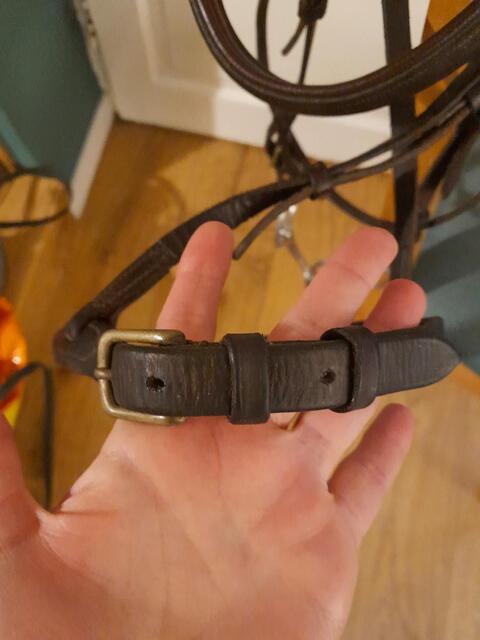 Filet bridon cuir marron cheval