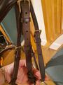 Filet bridon cuir marron cheval