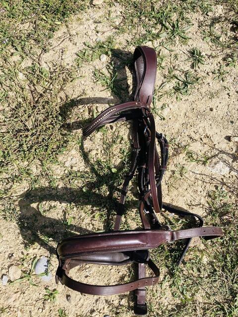 Bridon taille cheval Fouganza