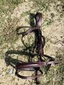 Bridon taille cheval Fouganza