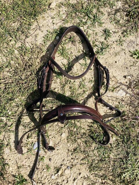 Bridon taille cheval Fouganza