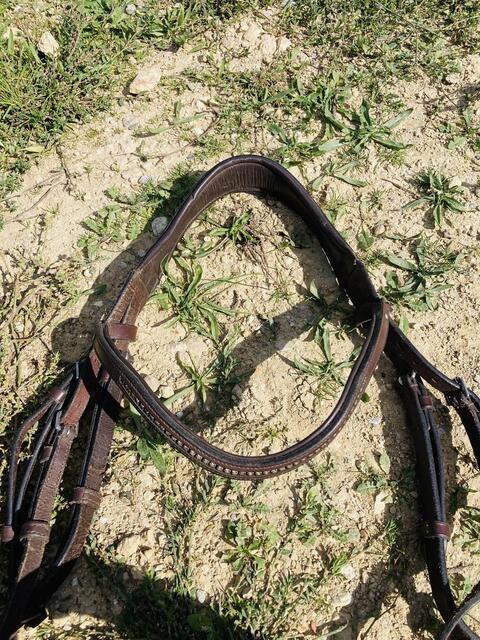 Bridon taille cheval Fouganza