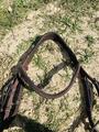 Bridon taille cheval Fouganza