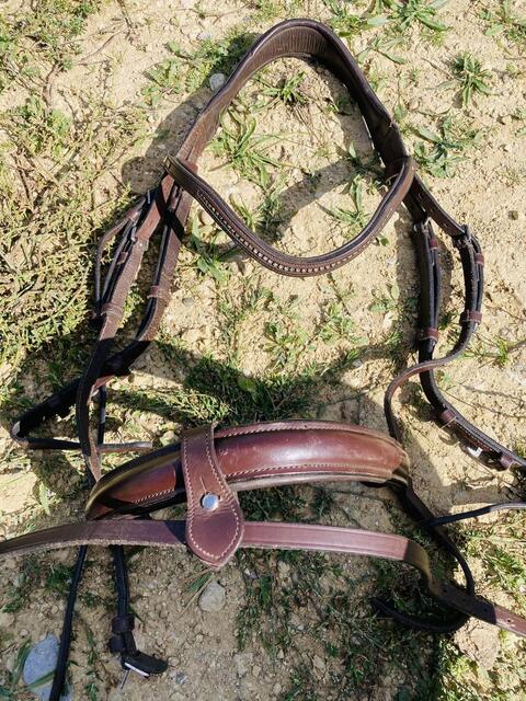 Bridon taille cheval Fouganza