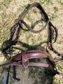 Bridon taille cheval Fouganza