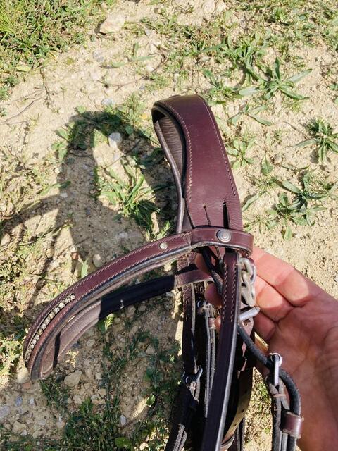 Bridon taille cheval Fouganza