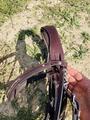 Bridon taille cheval Fouganza
